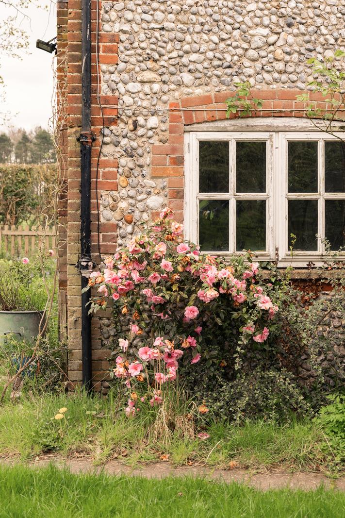 Walkgate Cottages - Image 5